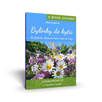 E-book Bylinky do kytic